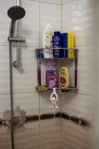 a shelf in a bathroom with toiletries on it at Sunny Sofia Studio #1 in Sofia