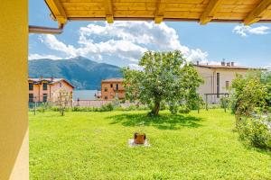 un cane seduto in un cortile con un albero di Casa Veligato 2 - Happy Rentals a San Siro
