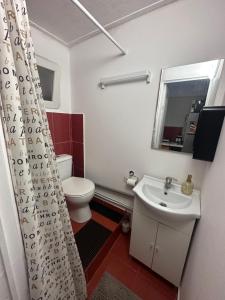 ein Badezimmer mit einem Waschbecken, einem WC und einem Spiegel in der Unterkunft În Buna Ziua in Cluj-Napoca