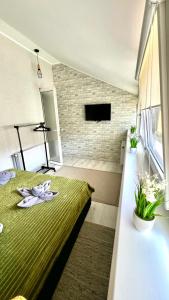 Un dormitorio con una cama verde y una ventana en Чудові апартаменти «D.I.M.» в Старому місті, en Kamianets-Podilskyi