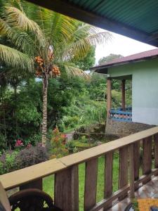 a view from the balcony of a house with a palm tree at Lawi Luja Guest House in Kelimutu