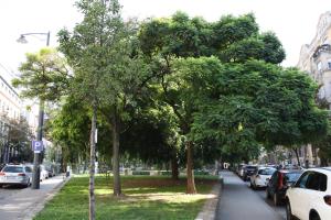 Okolie apartmánu