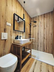 łazienka z umywalką i toaletą w obiekcie B&B Cvjetni w Zagrzebiu