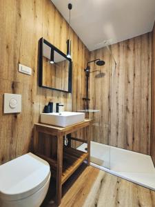 a bathroom with a sink and a toilet at B&B Cvjetni in Zagreb