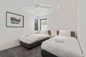 a bedroom with two beds and a window at 14 Cooran Court in Noosa Heads +14 photos