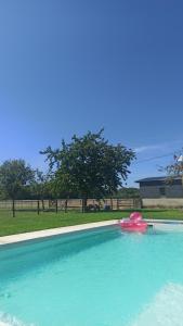 una piscina con un frisbee rosa. en Gîte à la campagne -maison individuelle -Piscine en Semblançay