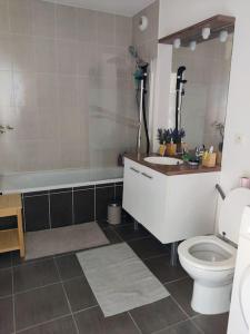 een badkamer met een toilet, een bad en een wastafel bij Charmant appartement avec magnifique vue in Monnetier-Mornex