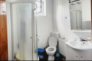 y baño con ducha, aseo y lavamanos. en Cabana Oana 5-bedrooms chalet, en Arad