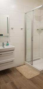 Kúpeľňa v ubytovaní Apartmány pod Jeřábem, Šanov 67, Červená Voda