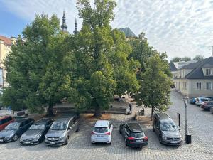 grupa samochodów zaparkowanych na parkingu w obiekcie Ubytování v historickém centru Litomyšle w mieście Litomyšl