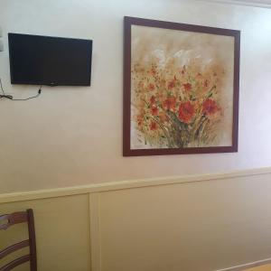 TV a/nebo společenská místnost v ubytování Hotel Ristorante Rinelli
