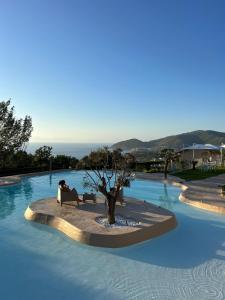 un arbre au milieu d'une piscine dans l'établissement Miramare Castellabate, à Santa Maria di Castellabate