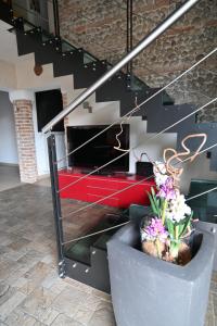 een trap met een bloemenplant bij CA CENTOSA ARTISTIC HOUSE villa storica ristrutturata con patio e giardino in Cittadella