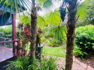 a view of a garden with palm trees and a porch at Hallorans Hill Holiday Home in Atherton