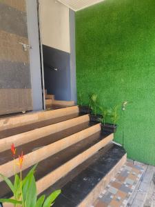 un conjunto de escaleras con plantas delante de una pared verde en kvm rooms and dormitory, en Ernakulam