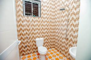 達累斯薩拉姆的住宿－Niwa Apartments，一间带卫生间和水槽的浴室