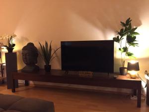 una sala de estar con TV en una mesa con plantas en Amelia Ferienwohnung, en Görlitz