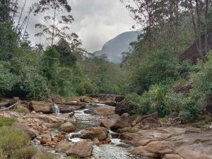 a river with rocks and trees and a mountain at Dilani Adamspeak RiverStay in Nallathanniya