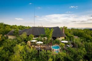 Bazén v ubytování Bushwa Private Game Lodge nebo v jeho okolí