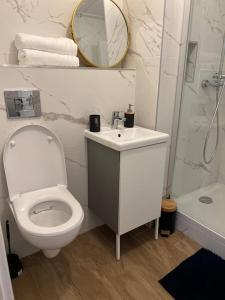 a bathroom with a toilet and a sink and a mirror at Appartement studio in Villeurbanne