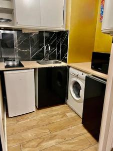 a small kitchen with a sink and a washing machine at Appartement studio in Villeurbanne