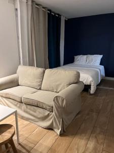 a living room with a couch and a bed at Appartement studio in Villeurbanne