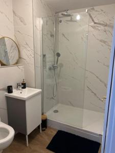 a bathroom with a shower and a toilet and a sink at Appartement studio in Villeurbanne