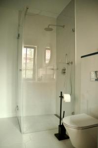 a bathroom with a glass shower and a toilet at Kosa Śpiew in Kosewo