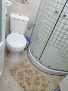 La salle de bains est pourvue d'une douche et de toilettes. dans l'établissement Ady & Marcy - Demisol 3, à Onești