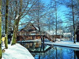 a bridge over a river with snow on the ground at Modernes Ferienhaus nahe Spreewald-Idylle in Luckau