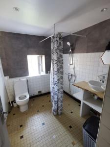 een badkamer met een toilet en een wastafel bij Maison de campagne dans un écrin de verdure in Conques-en-Rouergue