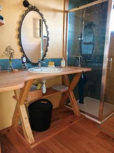 a bathroom with a sink and a mirror at La Petite Maison du hÊtre in Brassac +28 photos