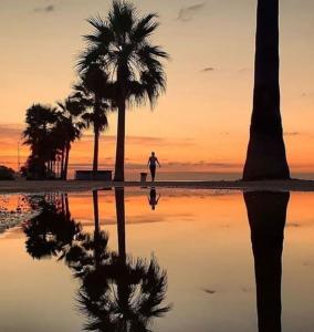 a man walking a dog on a beach with palm trees at Luxury art Apartamenty in Pineda de Mar