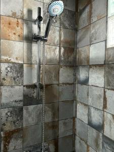 a shower with a shower head in a bathroom at Luxury art Apartamenty in Pineda de Mar