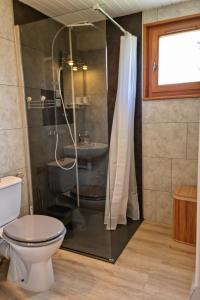 a bathroom with a shower and a toilet and a sink at Le Petit Bois in Les Rousses