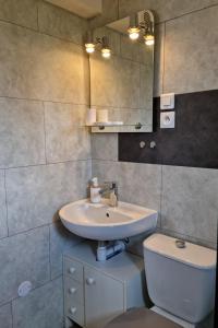 bagno con lavandino, servizi igienici e specchio di Le Petit Bois a Les Rousses