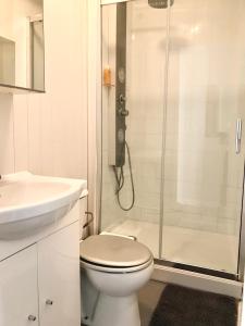 uma casa de banho com um WC, um lavatório e um chuveiro em Studio indépendant dans une maison avec jardin em Serris