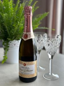 a bottle of champagne next to two wine glasses at Casa cu nuferi in Chişinău