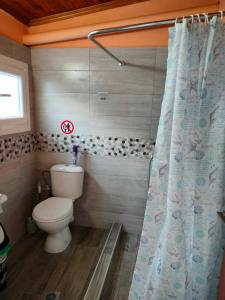 a bathroom with a toilet and a shower curtain at kali SunnySide Up in Nea Kallikrateia +29 photos