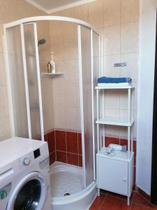 a bathroom with a shower and a washing machine at A nyugalom szigete Tabán Apartman in Dunakeszi