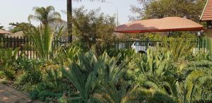 einen Garten mit Pflanzen und einem Sonnenschirm in der Unterkunft Garden cottages near Savannah Mall in Polokwane