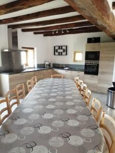 Charnizay的住宿－Gite à la ferme 15 personnes avec jacuzzi，一个带长桌和椅子的大厨房