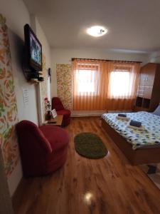 sala de estar con cama y sofá en Eden Apartman en Miercurea-Ciuc