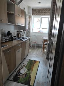 a kitchen with a refrigerator and a kitchen rug on the floor at Eden Apartman in Miercurea-Ciuc