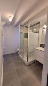 La salle de bains est pourvue d'une douche en verre et d'un lavabo. dans l'établissement Maisonnette aux portes du Médoc, à Blanquefort