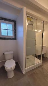 La salle de bains est pourvue de toilettes et d'une douche en verre. dans l'établissement Maisonnette aux portes du Médoc, à Blanquefort