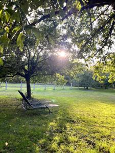 una panchina da parco seduta sotto un albero in un campo di La Vieille Bouverie a Savennières