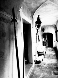 Fitness centrum a/nebo fitness zařízení v ubytování B&b di Charme Palazzo Lambertenghi