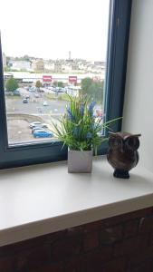 two plants sitting on a window sill with a view of a parking lot at Bliss Apartments - Contractor 314 in Bradford