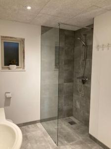 a bathroom with a shower and a toilet and a sink at Perlan in Sørvágur